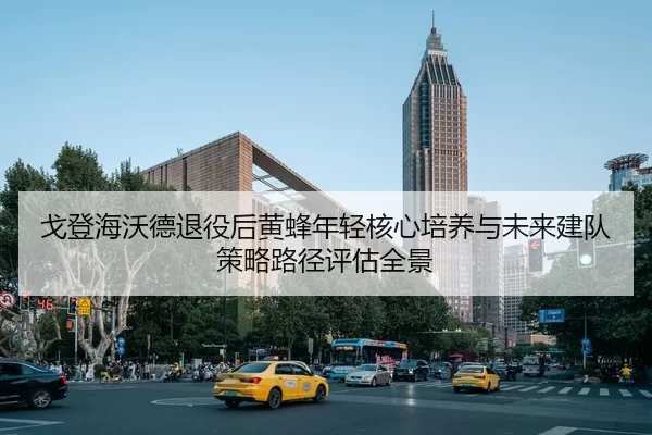 ge-deng-hai-wo-de-tui-yi-hou-huang-feng-nian-qing-he-xin-pei-yang-yu-wei-lai-jian-dui-ce-lve-lu-jing-ping-gu-quan-jing-2-934.jpg