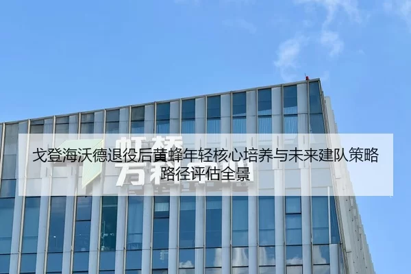 戈登海沃德退役后黄蜂年轻核心培养与未来建队策略路径评估全景